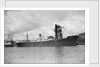 General cargo 'Baron Elphinstone' (Br, 1937) under a coal hoist in Kings Dock, Swansea by unknown
