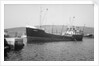 'Camelia' (No, 1944) under way in Kings Dock, Swansea by unknown