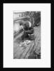 Completing the paint job by Alan Villiers