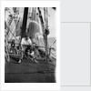 Alan Villiers aboard the 'Grace Harwar' by Alan Villiers