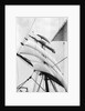 High aloft, taking in sail as the storm increases by Alan Villiers