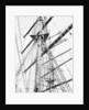 Clear to sail! The lean yards stripped for action by Alan Villiers