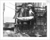 Two crew with large fish onboard HMS 'Penguin' (1876) by Willoughby Pudsey Dawson