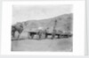 Camel carts lined up at Aden by Kenneth Hurlstone Jones