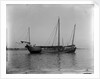 A Ningpo junk anchored at Wusong by Kenneth Hurlstone Jones