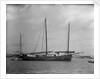A Lorcha at anchor off Shanghai. by Kenneth Hurlstone Jones