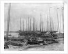 Junks and sampans near the French Concession, Shanghai by Kenneth Hurlstone Jones