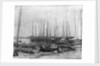 Junks and sampans near the French Concession, Shanghai by Kenneth Hurlstone Jones
