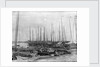 Junks and sampans near the French Concession, Shanghai by Kenneth Hurlstone Jones
