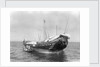 A baggala at anchor off Zanzibar discharging her cargo by Alan Villiers