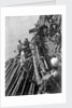 Unloading mangrove poles from the 'Triumph of Righteousness' by Alan Villiers