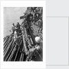 Unloading mangrove poles from the 'Triumph of Righteousness' by Alan Villiers