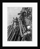 Unloading mangrove poles from the 'Triumph of Righteousness' by Alan Villiers
