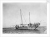 A crowded Kuwaiti pearling shu'i during a break from diving by Alan Villiers