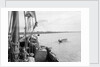 Towing the 'Triumph' down the Rufiji by Alan Villiers