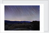 Death Valley Star Trails by Nikhil Shahi