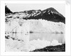 Hamberg Glacier, Moraine Fjord, South Georgia by unknown