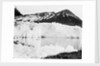 Hamberg Glacier, Moraine Fjord, South Georgia by unknown