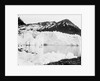 Hamberg Glacier, Moraine Fjord, South Georgia by unknown