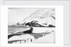 A view along the shore with penguins in the foreground, South Georgia Island by unknown