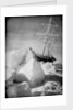 'Endurance' frozen in and forced out of the ice, during Ernest Shackleton's Imperial Trans-Antarctic Expedition of 1914-1917 by unknown