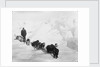 A seven-dog sledge team on the ice with unidentified crew member by unknown