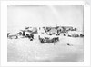 Ocean Camp established on the ice, Weddell Sea, Antarctica by unknown