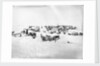 Ocean Camp established on the ice, Weddell Sea, Antarctica by unknown