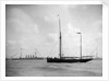 1911 Coronation Naval Review at Spithead by unknown