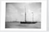 1911 Coronation Naval Review at Spithead by unknown