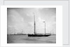 1911 Coronation Naval Review at Spithead by unknown