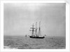Steam yacht 'Sunbeam' (Br, 1874, Lord Brassey) at anchor off Spithead by unknown
