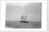 Steam yacht 'Sunbeam' (Br, 1874, Lord Brassey) at anchor off Spithead by unknown