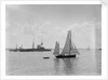 King's review of the fleet at Spithead, 1909 by unknown