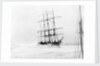 4-masted barque 'Adolphe' (Fr, 1902) ashore on Oyster Bank, Newcastle, Australia by unknown