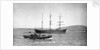 The 'Anna Maria D'Abundo' (It, 1903) at anchor by unknown