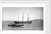 The 'Anna Maria D'Abundo' (It, 1903) at anchor by unknown