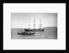 The 'Anna Maria D'Abundo' (It, 1903) at anchor by unknown