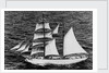 'Massimo Padre' (Br, 1905), under sail off Malta by unknown