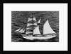 'Massimo Padre' (Br, 1905), under sail off Malta by unknown