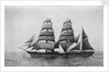 'Northernhay' (Br, 1885) by unknown