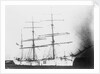'Sarvsfos' (Br, 1892) at Savannah by Unknown