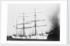 'Sarvsfos' (Br, 1892) at Savannah by Unknown