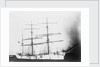 'Sarvsfos' (Br, 1892) at Savannah by Unknown