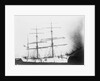 'Sarvsfos' (Br, 1892) at Savannah by Unknown