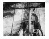 'Port Jackson' 4 masted barque, looking down on poop from aloft in the mainmast by unknown