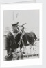 Goat mascot on board the HMS 'Irresistible' (1898) in Malta by unknown