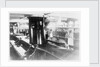 The 'Harbinger' (Br, 1876) interior of the saloon by unknown