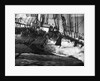 'Medway', 4 masted barque, heavy sea sweeping across deck by unknown