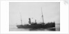 The Argo Line steamship 'Adler' (1900) by unknown